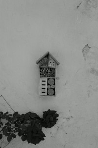 L1000414.JPG