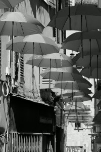 L1000419.JPG