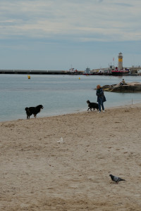 L1000430.JPG