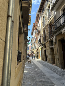 IMG_1926.JPG
