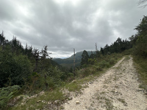 IMG_2238.JPG