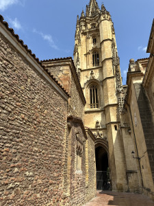 IMG_2294.JPG