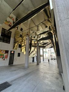 IMG_2300.JPG