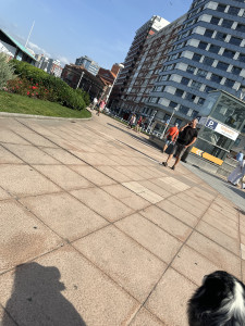 IMG_2342.JPG