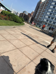 IMG_2345.JPG