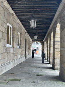 IMG_2509.JPG