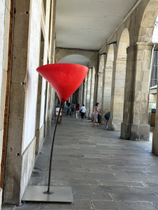 IMG_2549.JPG