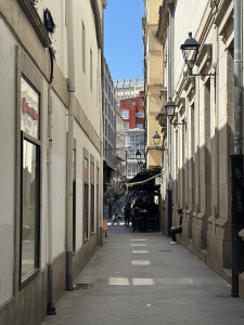 IMG_2564.JPG