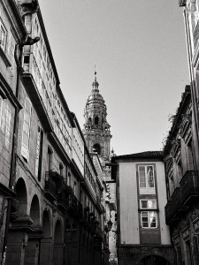 IMG_2611.JPG