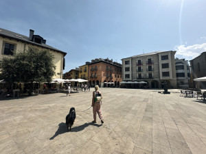 IMG_2636.JPG