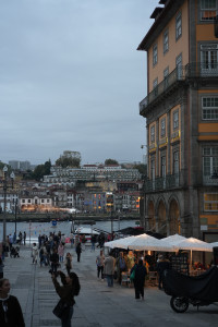251026194806-DSC00189.JPG