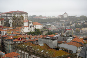 251026194812-DSC00333.JPG