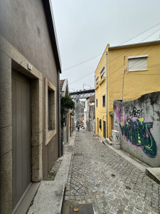 IMG_3795.JPG