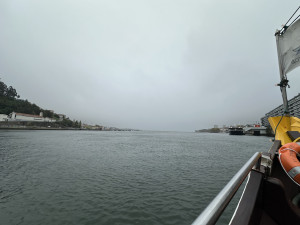 IMG_3827.JPG