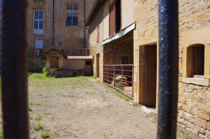 IMGP0529.JPG