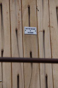 IMGP0530.JPG