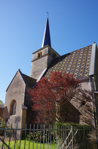 IMGP0556.JPG