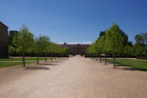 IMGP0587.JPG