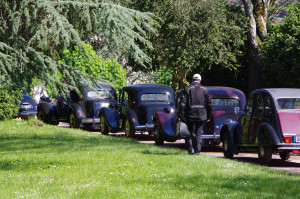 IMGP0600.JPG