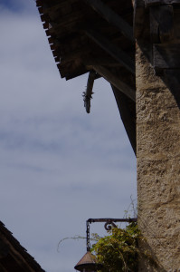 IMGP0639.JPG