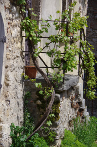 IMGP0647.JPG