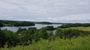 20170604_111246.jpg
