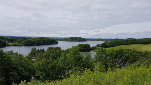 20170604_111257.jpg