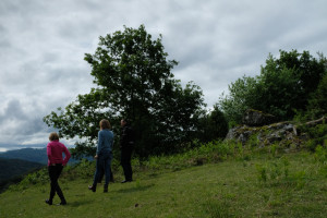 DSCF4266.JPG