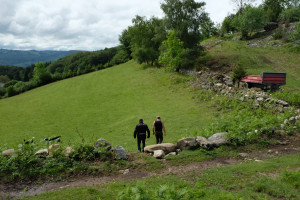 DSCF4267.JPG