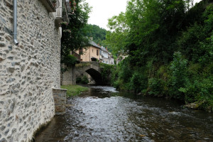 DSCF4320.JPG