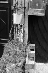 DSCF4338.JPG