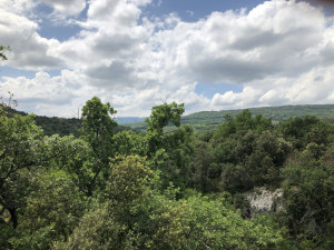IMG_3165.JPG