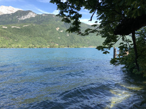 IMG_0591_heic.JPG