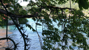 IMG_0594_heic.JPG