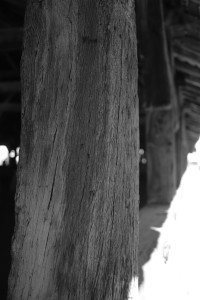 DSCF0191.JPG