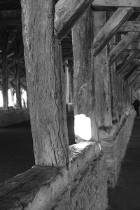 DSCF0205.JPG