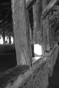 DSCF0208.JPG
