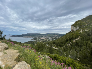 IMG_1129.JPG