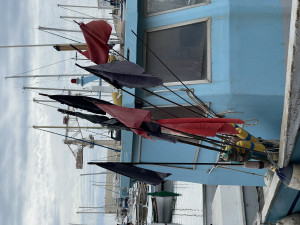 IMG_1151.JPG