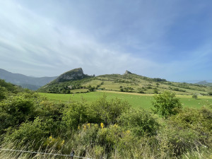 IMG_5085.JPG
