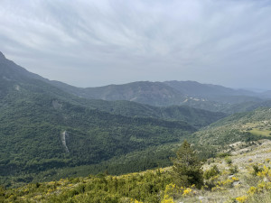 IMG_5088.JPG