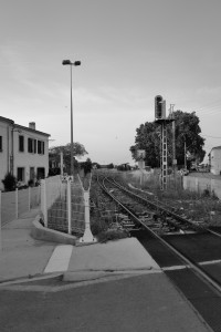 DO01031352.JPG