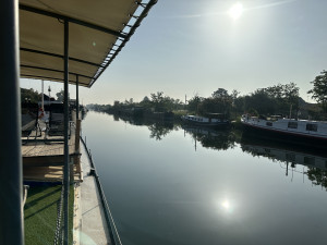 IMG_9333.JPG