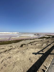 IMG_9376.JPG