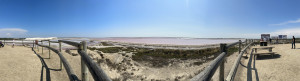 IMG_9380.JPG