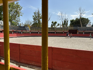 IMG_9408.JPG