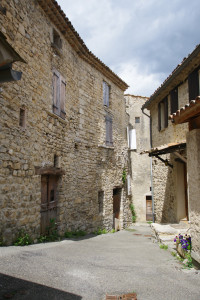 IMGP0134.JPG