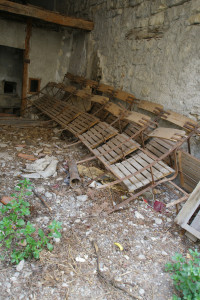 IMGP0135.JPG