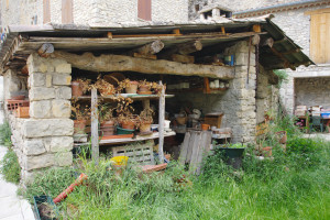 IMGP0136.JPG