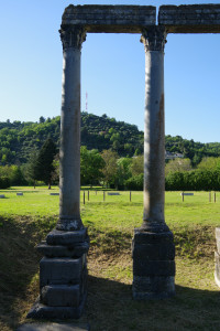 IMGP0155.JPG